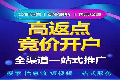 某旅游网站SEM优化案例：如何吸引目标用户
