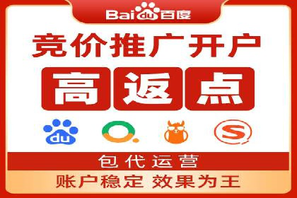 某知名企业SEM营销全案解析